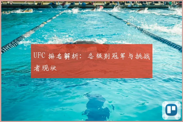 UFC 排名解析:各级别冠军与挑战者现状