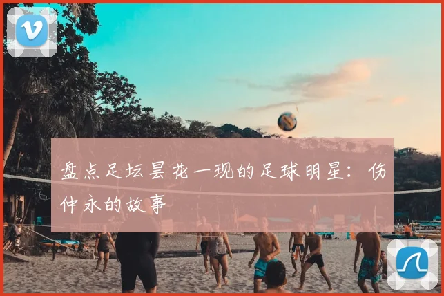 盘点足坛昙花一现的足球明星：伤仲永的故事