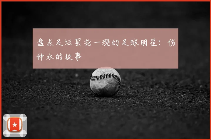 盘点足坛昙花一现的足球明星：伤仲永的故事