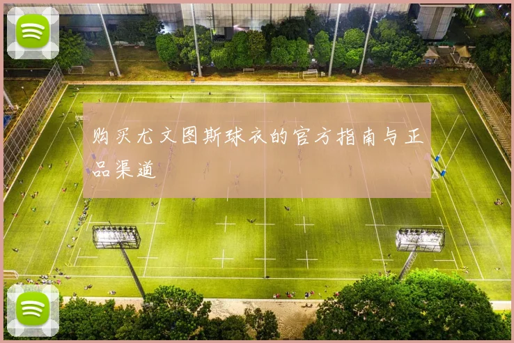 购买尤文图斯球衣的官方指南与正品渠道